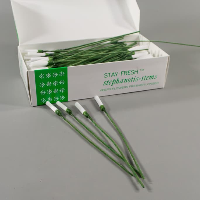 Stephanotis Stems