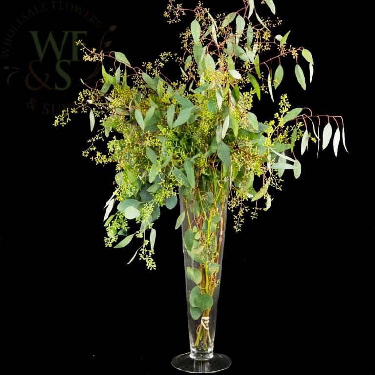 Eucalyptus Seeded Greenery Filler