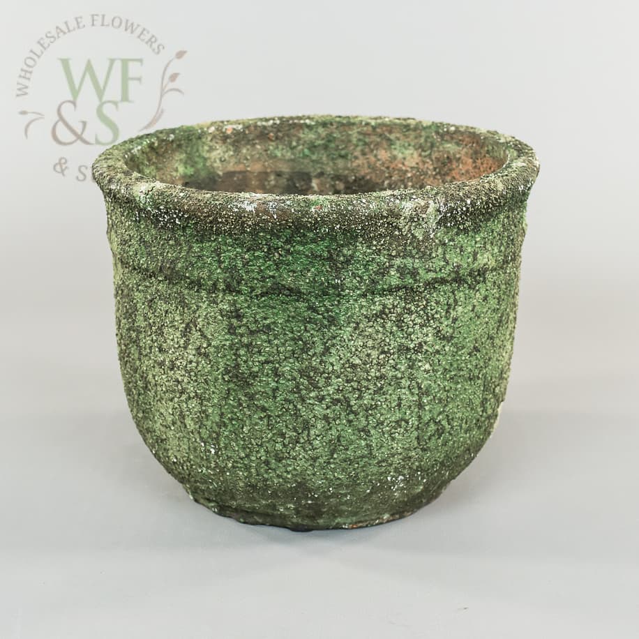Large Roman Moss Pot