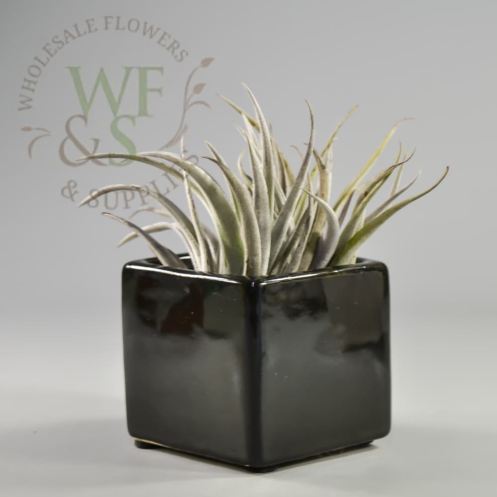  Ceramic Cube Black Glazed 3" Tall