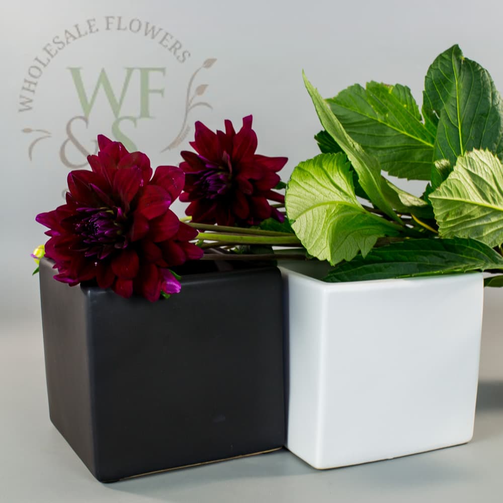 5" Ceramic Cube in White and Matte Black