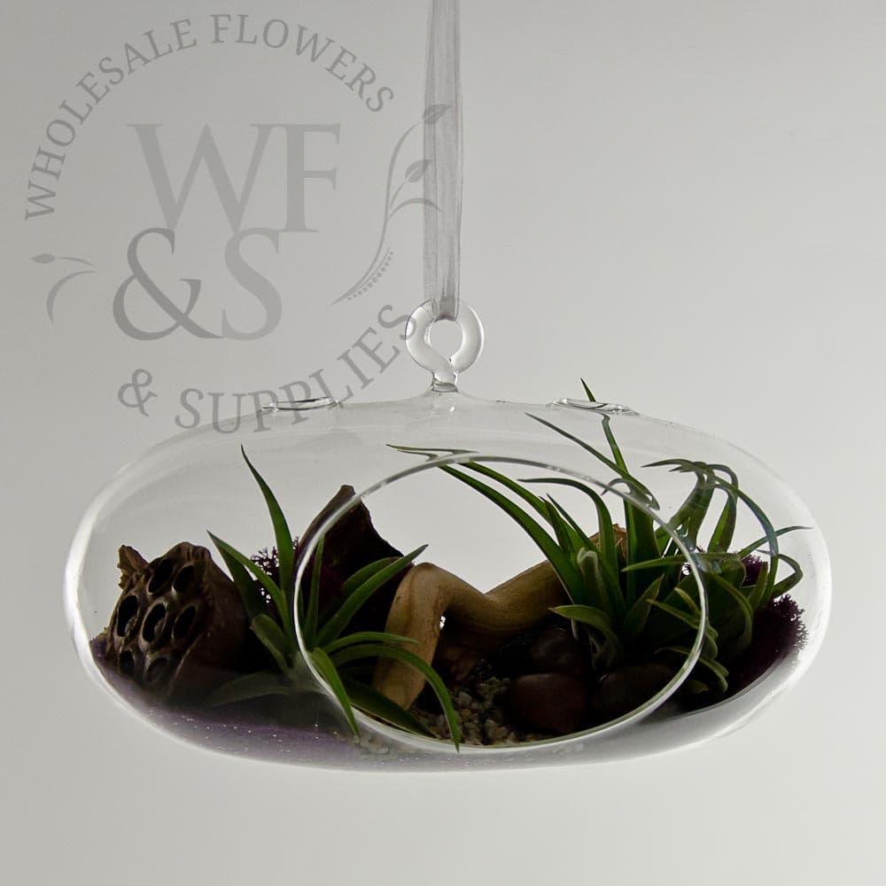 Elongated glass terrarium