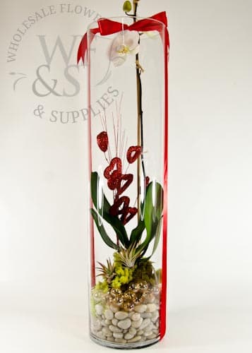 Forever Valentine #12