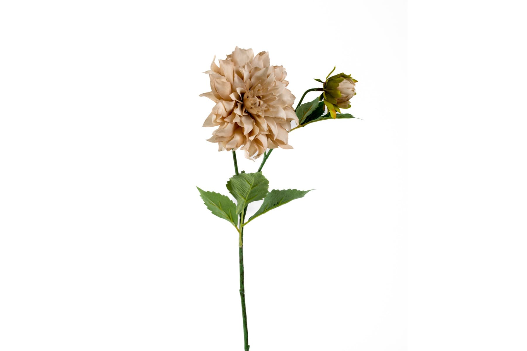 19.5" Beige Dahlia Spray
