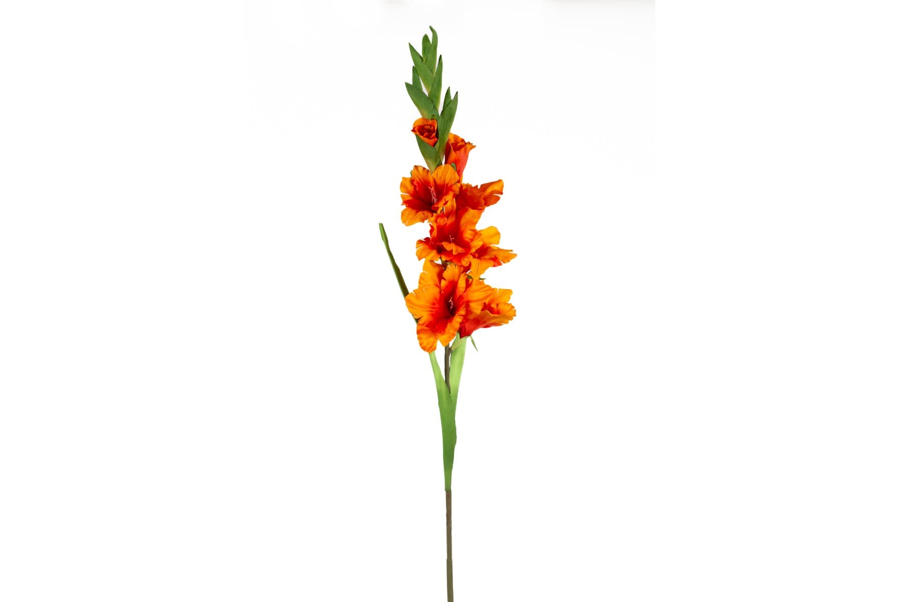 36.6" Orange Gladiolus Spray