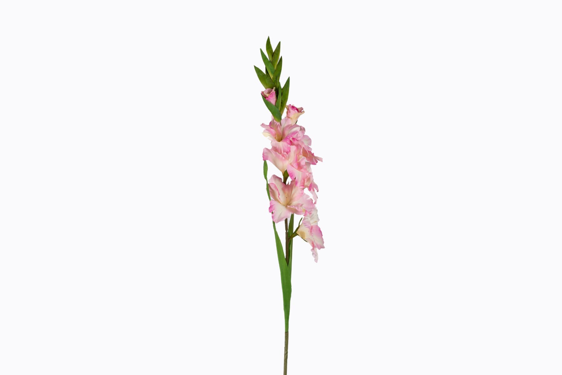 36.6" Pink Gladiolus Spray