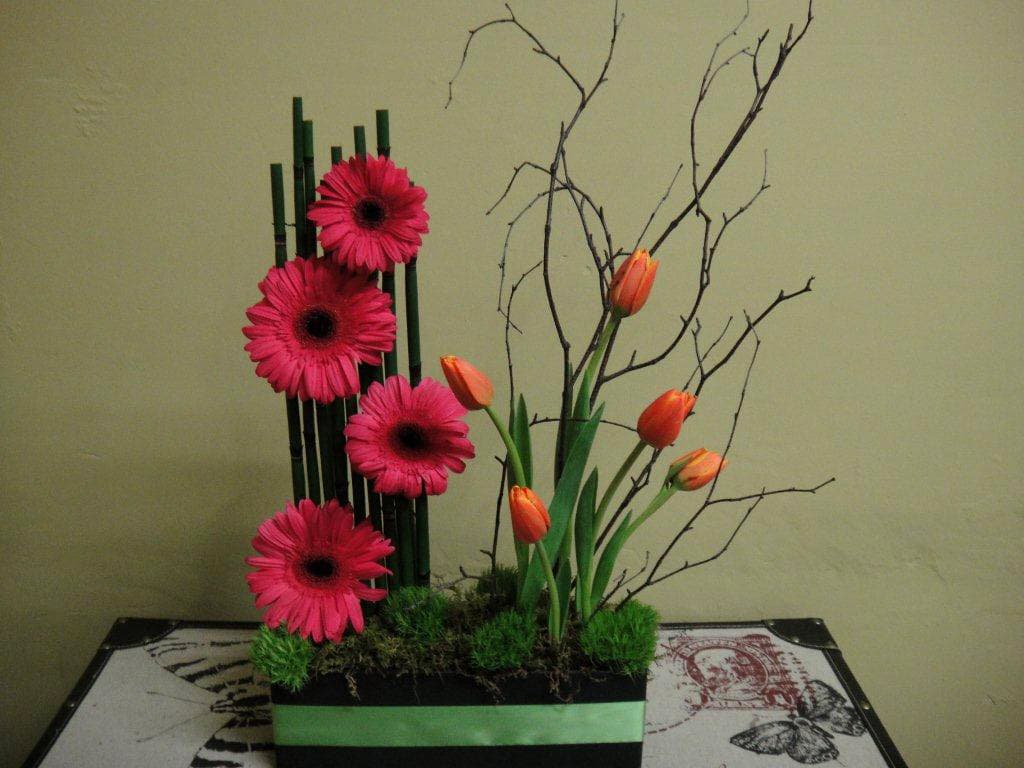 Gerber and Tulip Garden