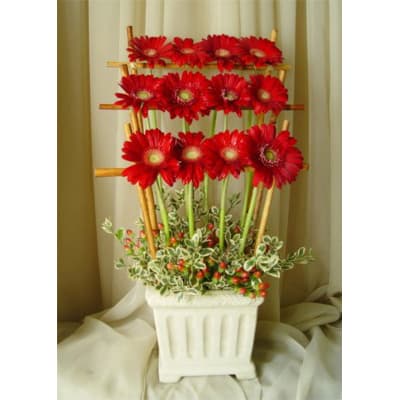 Gerber Daisies, Bamboo Fence, Ceramic