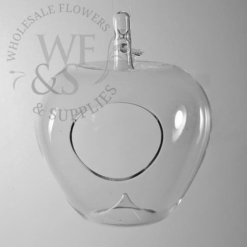 Hanging Glass Apple Vase