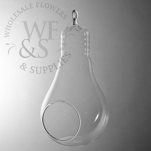Hanging Glass Light Bulb Vase 8.5" DISC