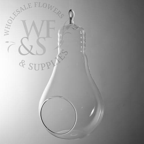 Hanging Glass Light Bulb Vase 11"