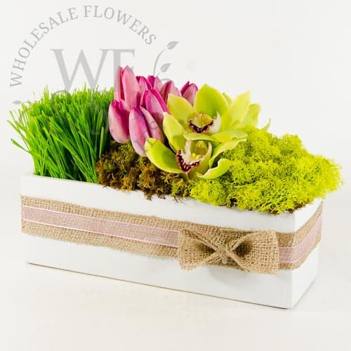 Long & Low Tulips and Orchids #9