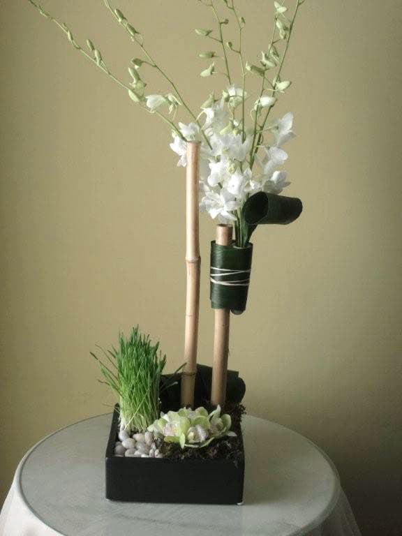 Low Ceramic Square w/ mini Cymbidiums, Dendrobiums