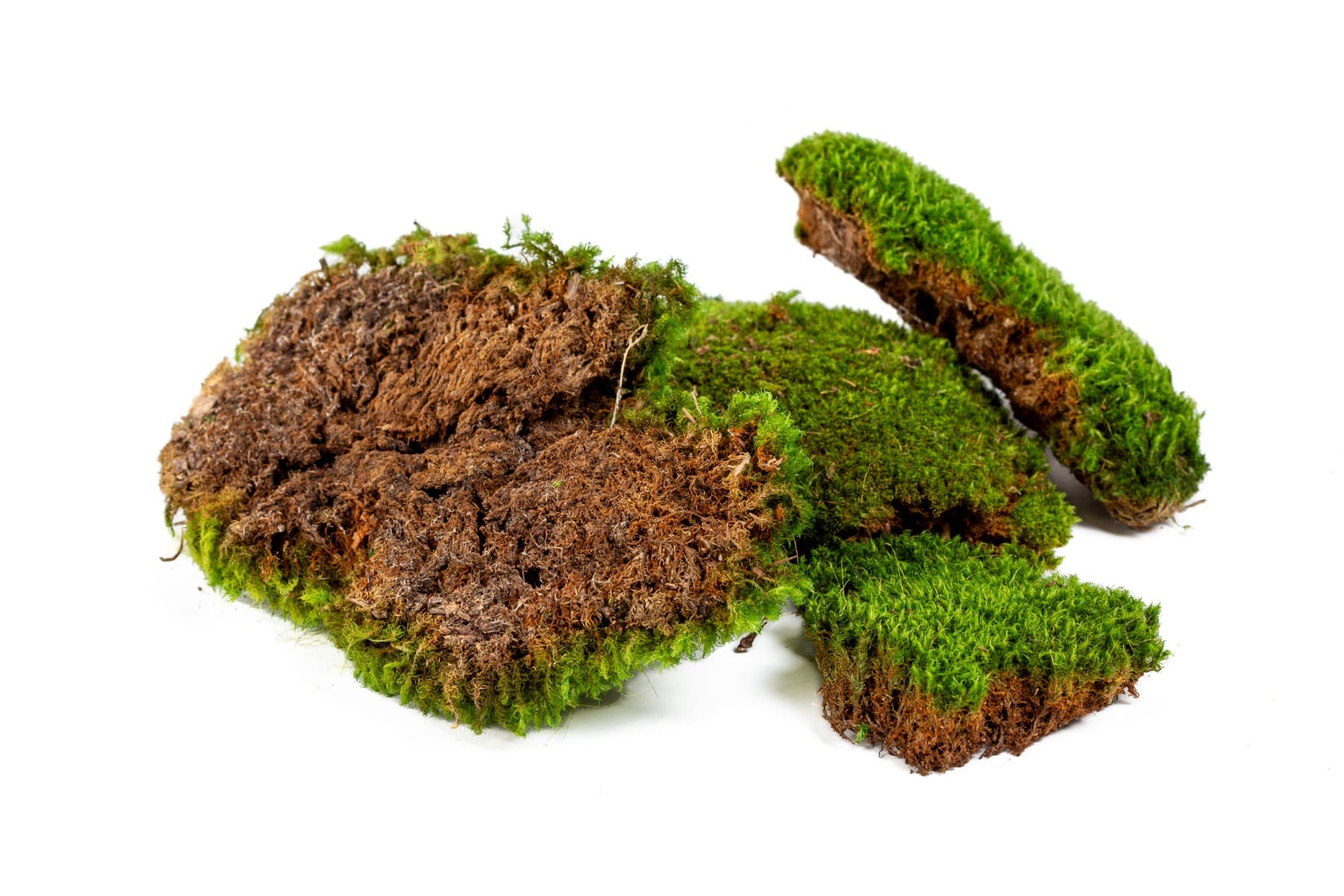 1.75 Cubic Ft. Mood Moss Case 