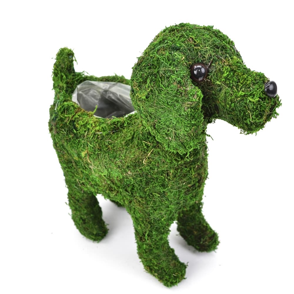 Moss Covered Puppy Planter