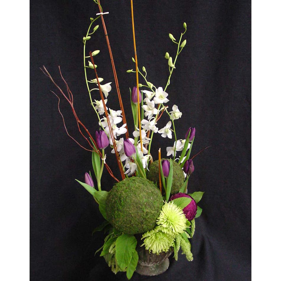 Moss Balls w/ Tulips, Dendrobiums, Spider Mums