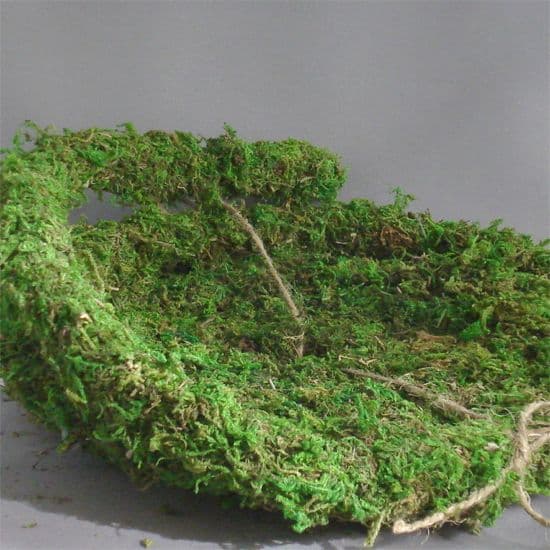 Garland Moss  Vine Small