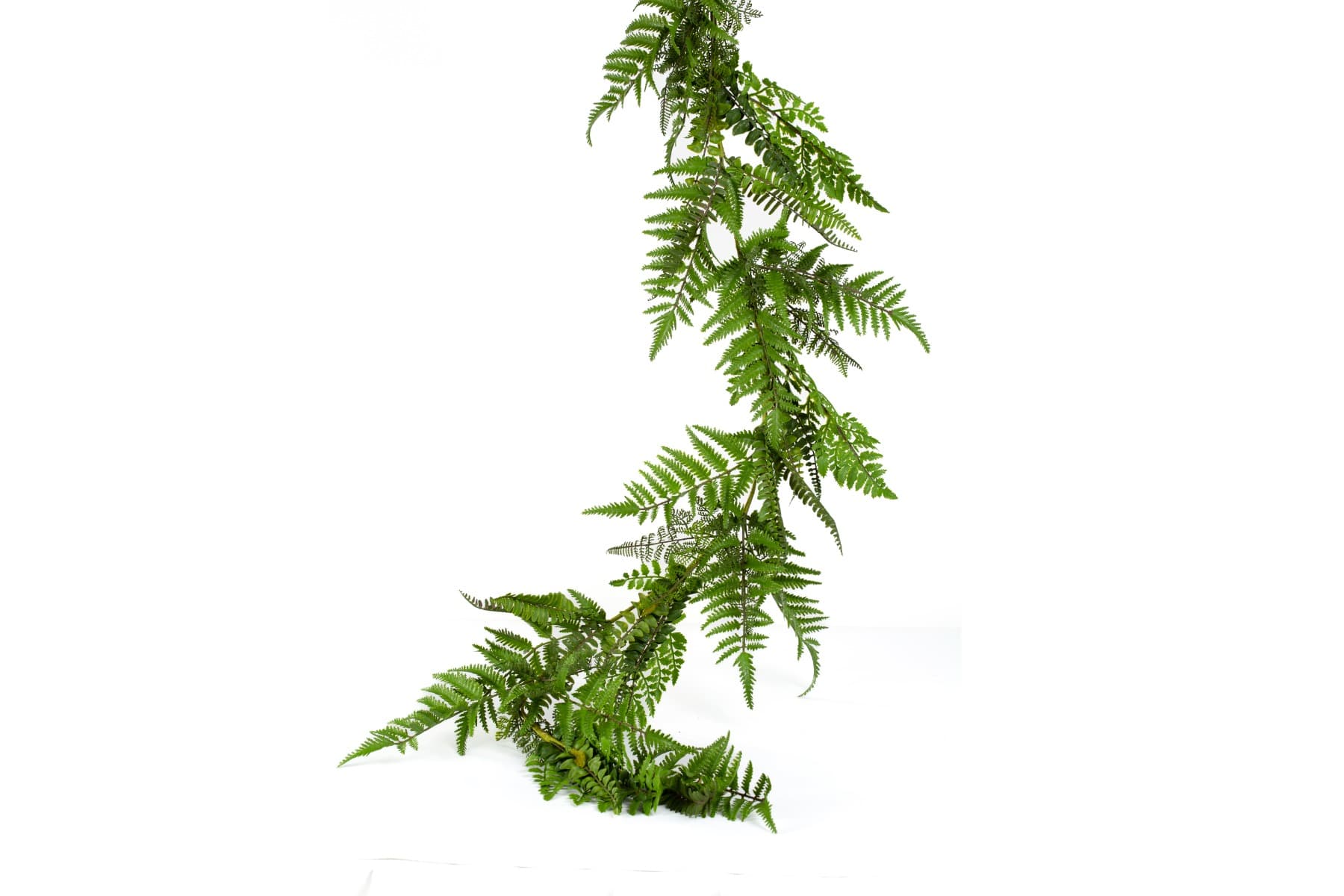 5' Mixed Fern Garland