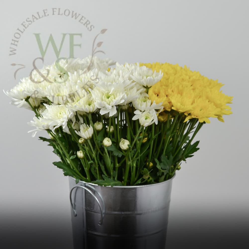 Pom Pom Cushion Flower in White and Yellow