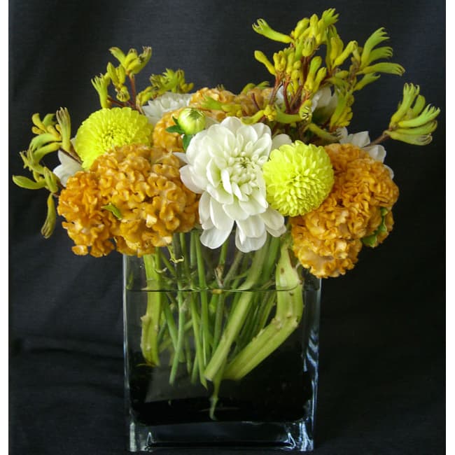 Rectangle w/ Black Gems