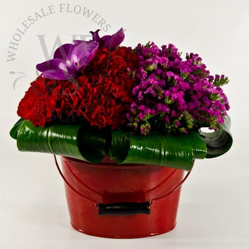 Red Bucket of Red Carnations
