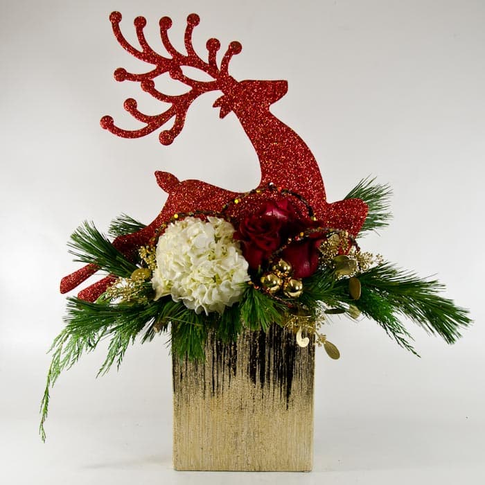 Ruhdolph The Red Nose Reindeer