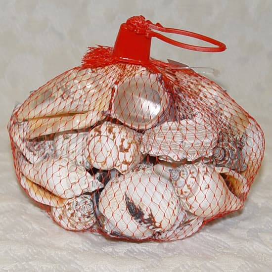 Small Bag Seashells