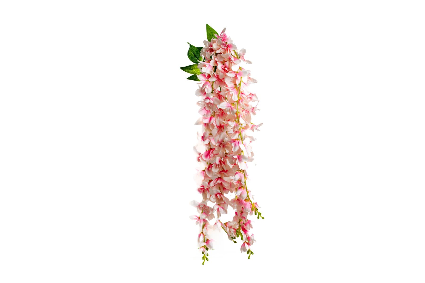 32" Cream Pink Delphinium hanging bush
