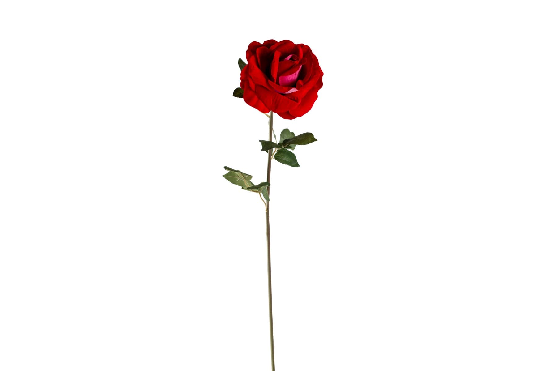 36" Velvet Red Rose Stem