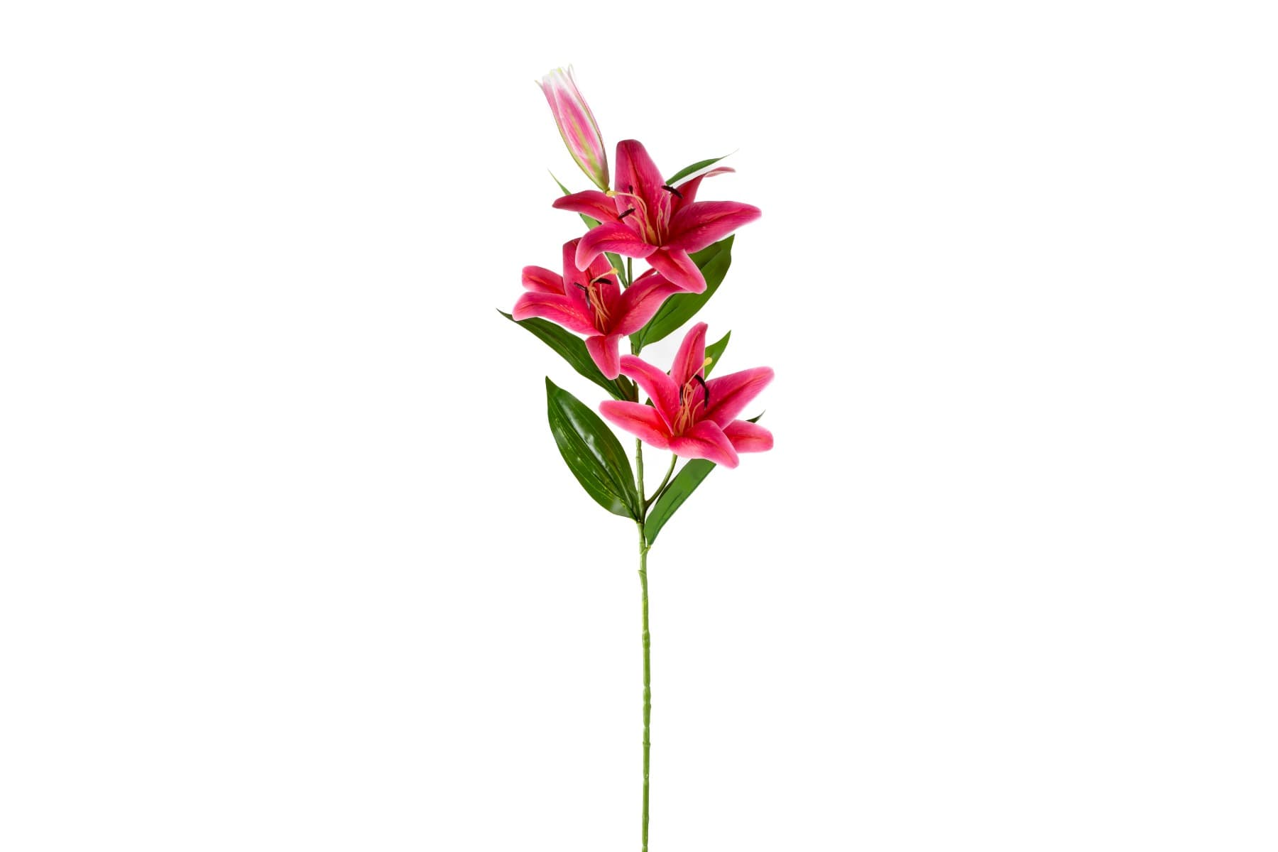41" Fuchsia Tiger Lily Stem