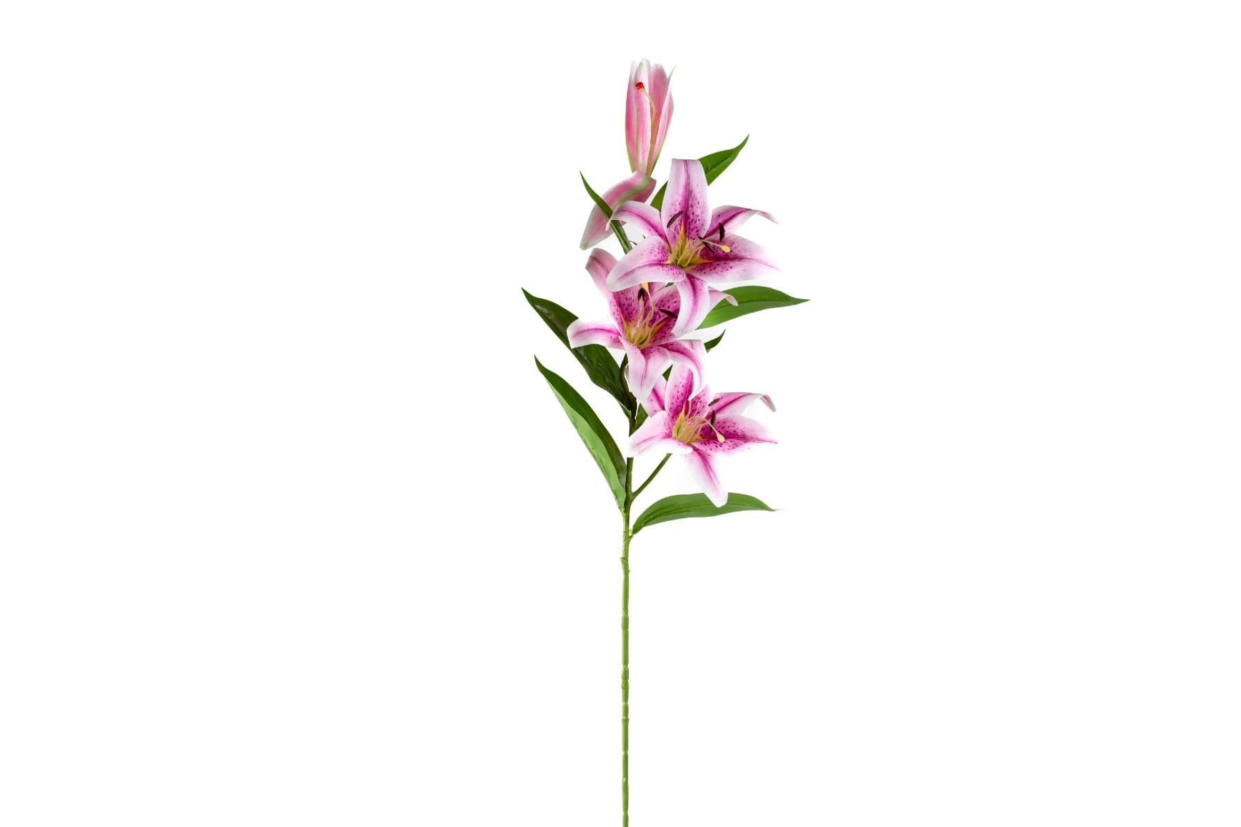 41" Pink Tiger Lily Stem
