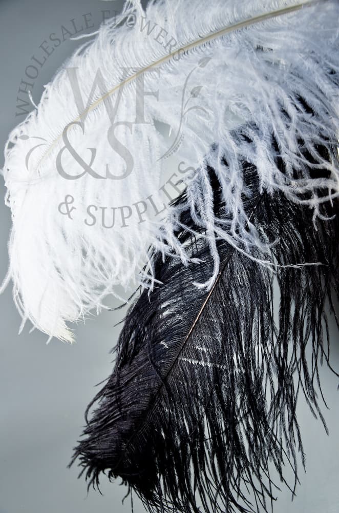 Mardi Gras Accessories