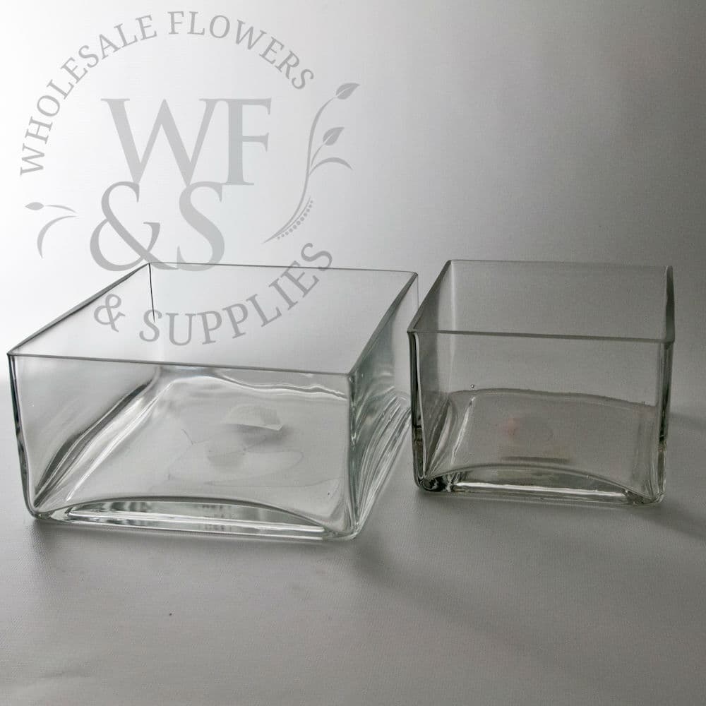 Square Glass Low-Dish Garden 4" x 10" x 10"