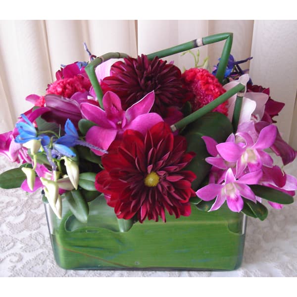 Glass with Dahlias & Dendrobium Orchids