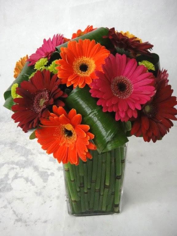 Square Glass w/ Gerber Daisies, Horsetail, Kermits