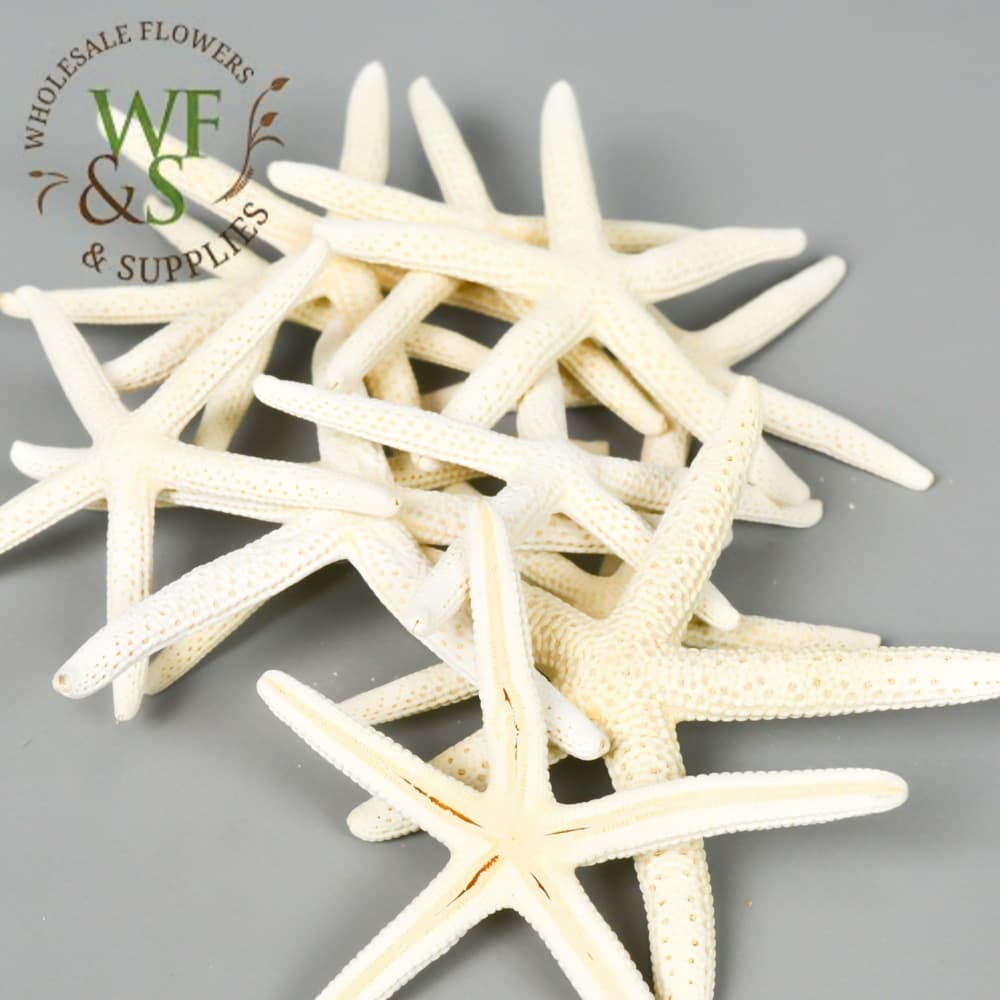 White Finger Star - Starfish Bag