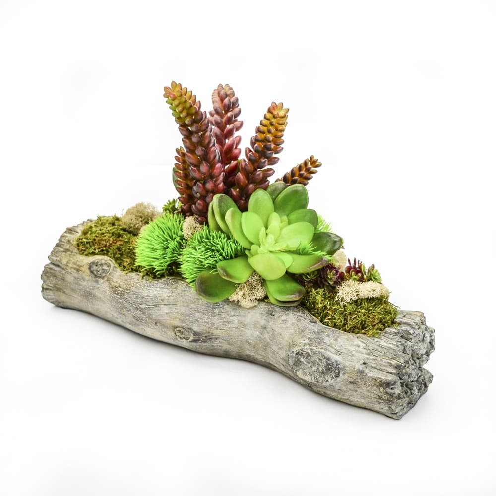 14" Driftwood Log Planter