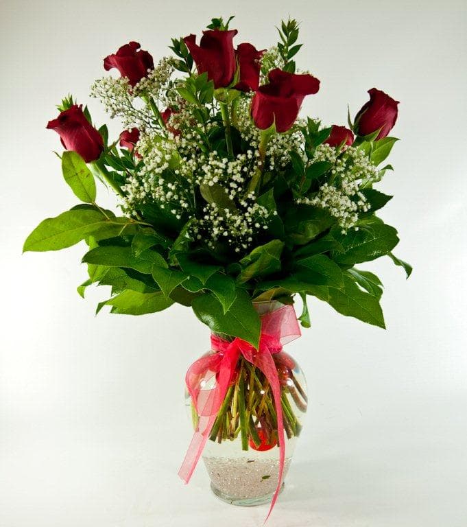 Traditional rose dozen w/ babies breath #7