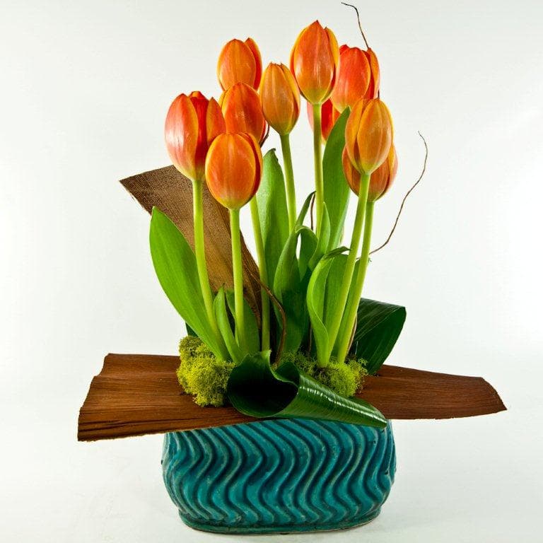 Tulip floral