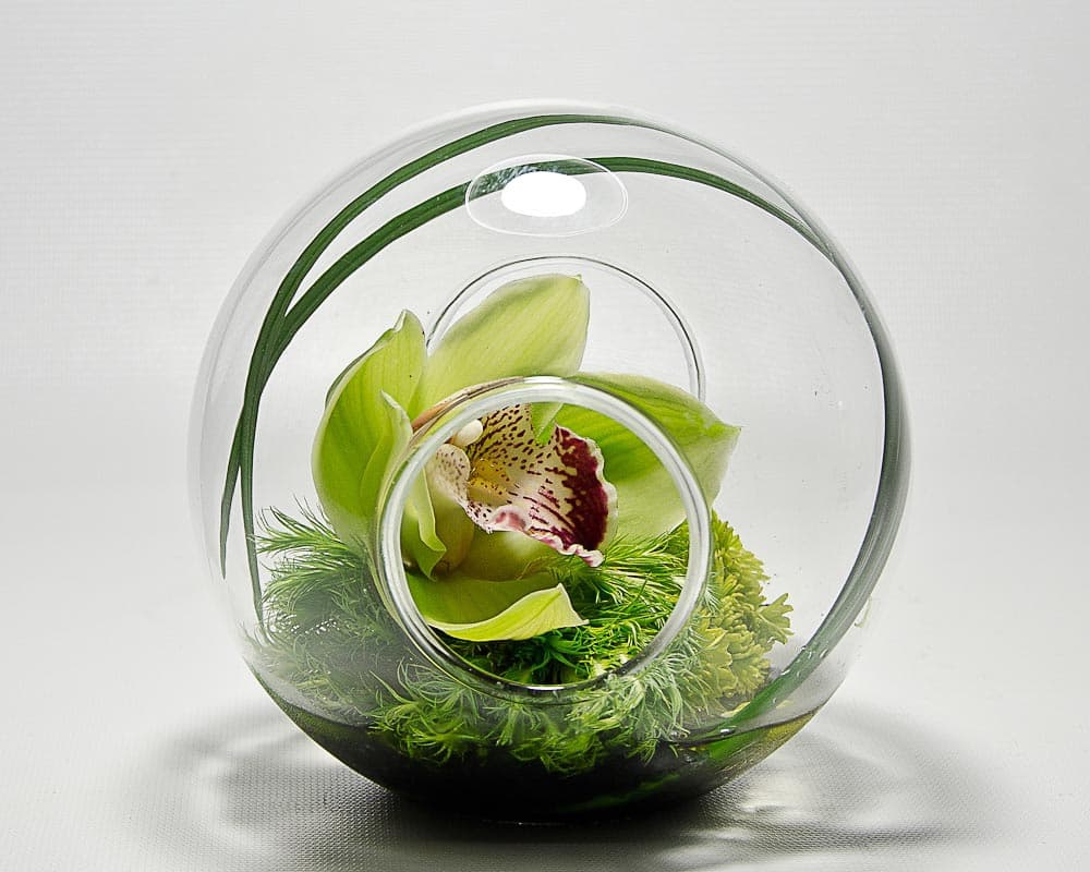 Glass Sphere Crosswinds Vase Small DISC