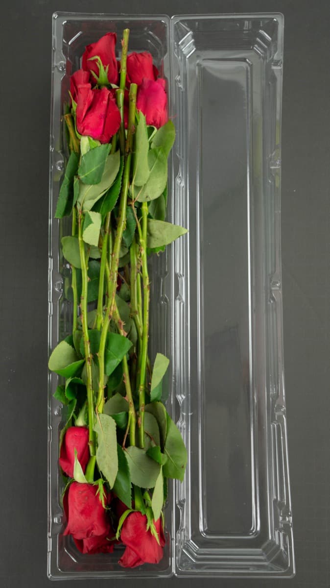 Dozen Rose Box - 50 Pack  25" x 5-1/4" x 4"