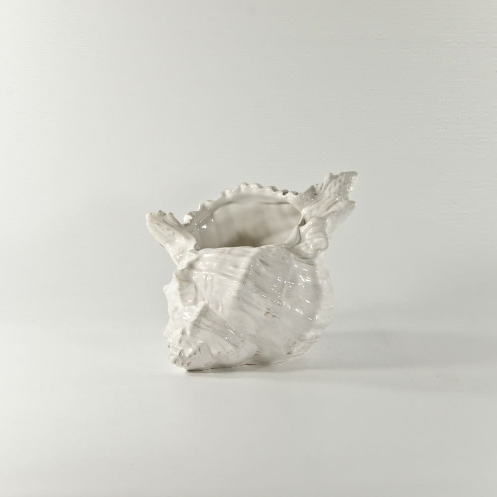 White Medium Ceramic Conch Shell