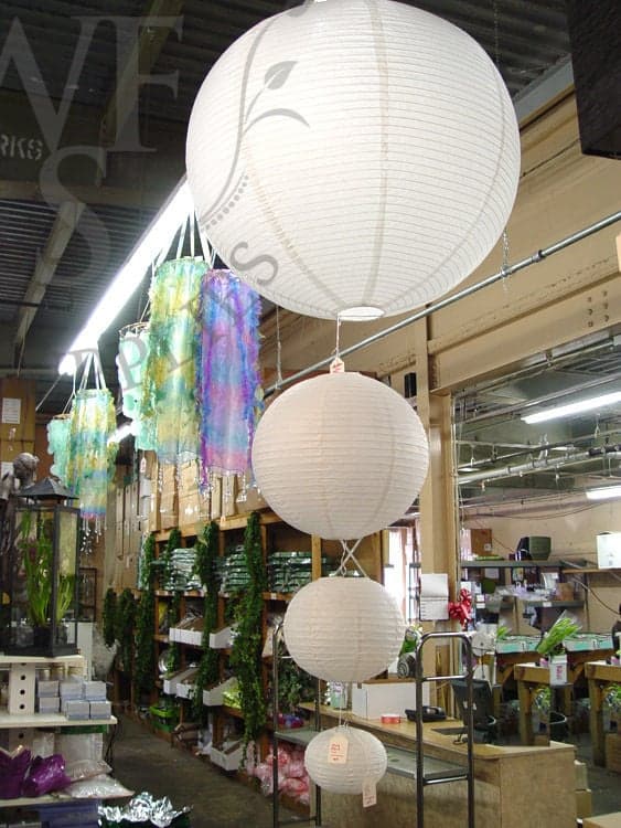 White Round Chinese Lanterns 24"