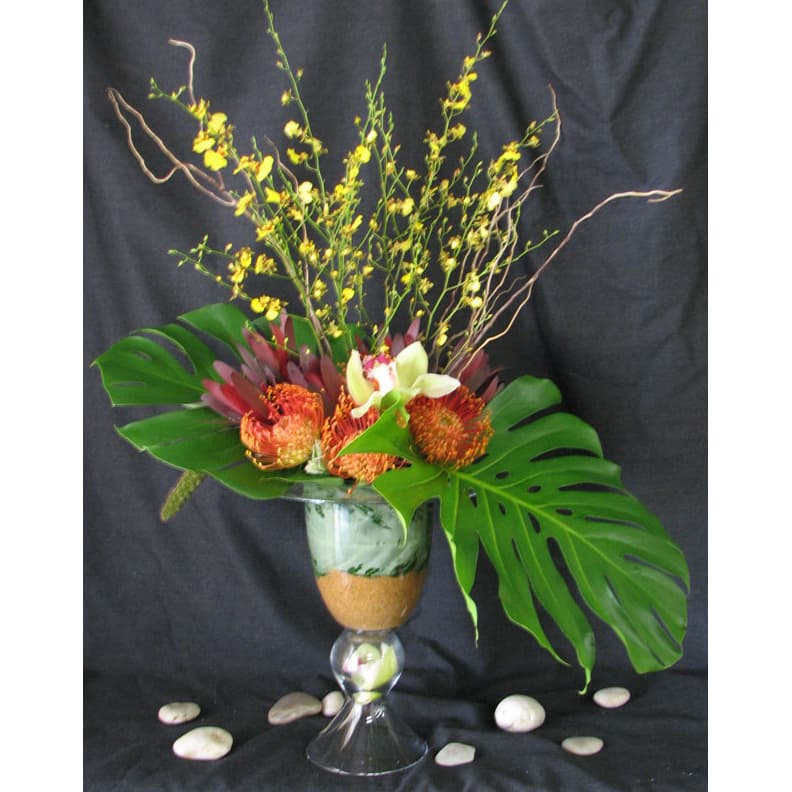 Yellow Oncidium Orchid, Safari Sunset