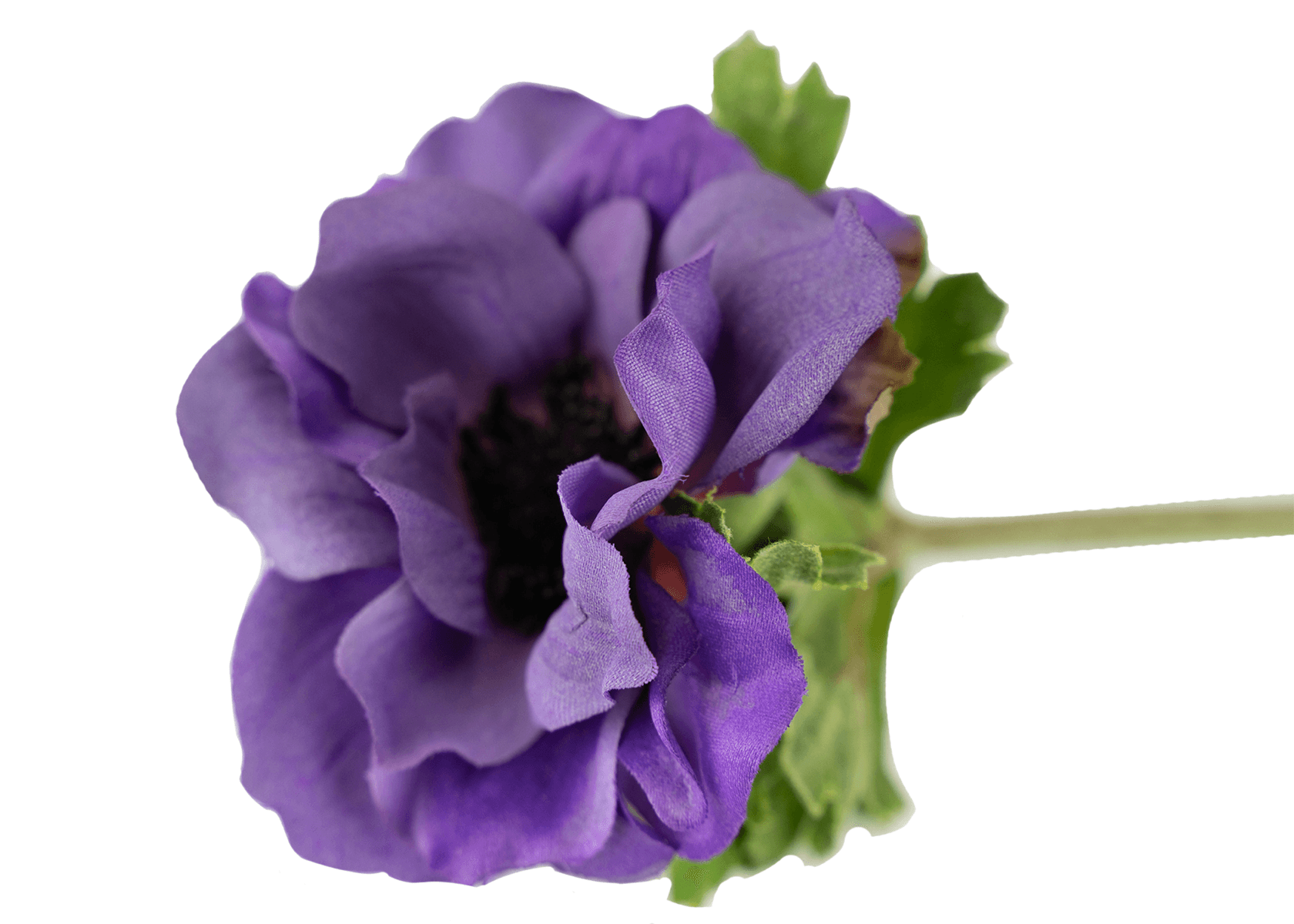 Anemone Spray Stem Purple 15"