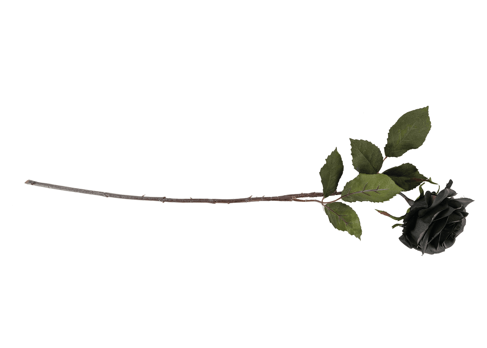 21.5" Black Rose Stem