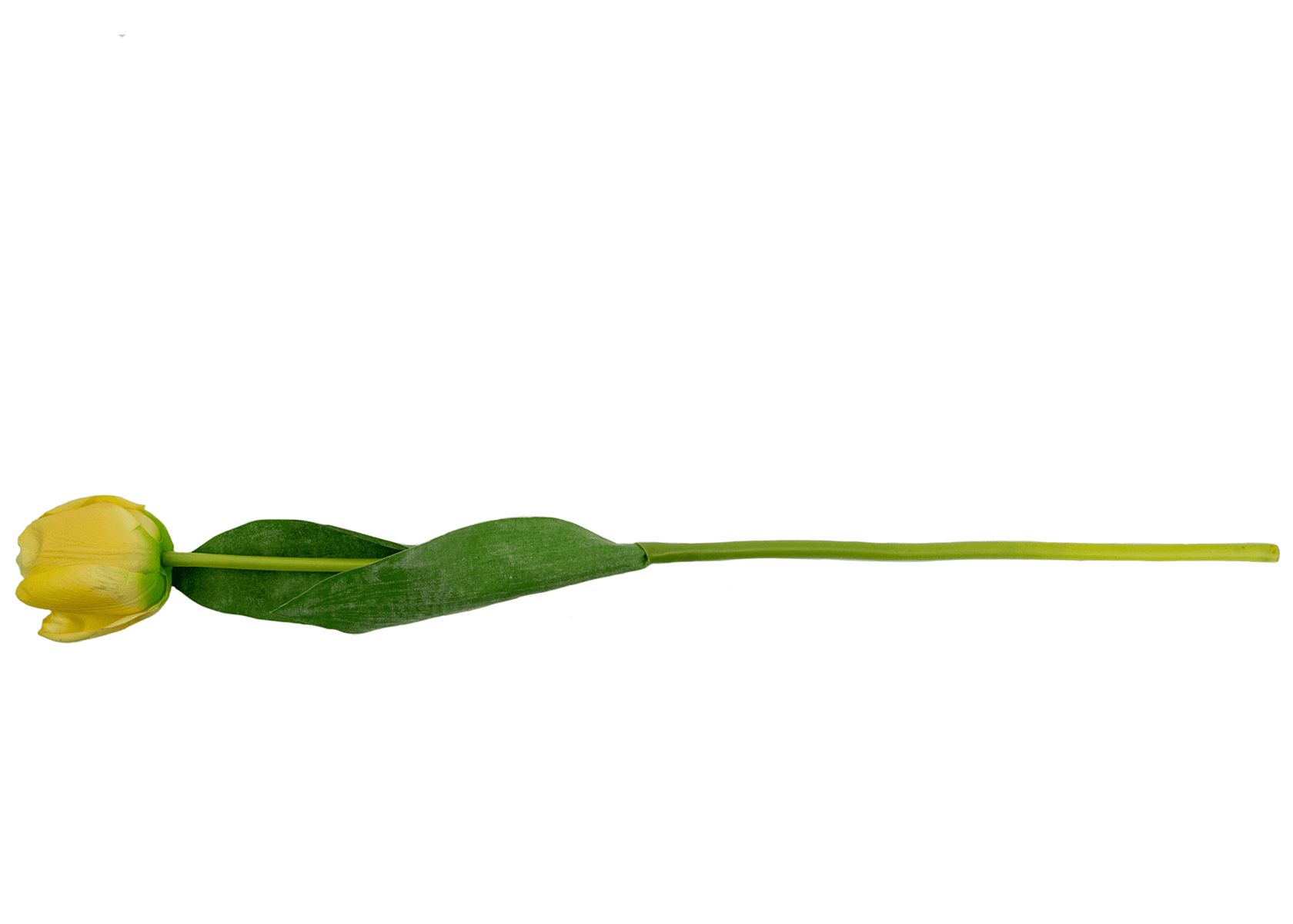 24" Soft touch tulip spray-Yellow