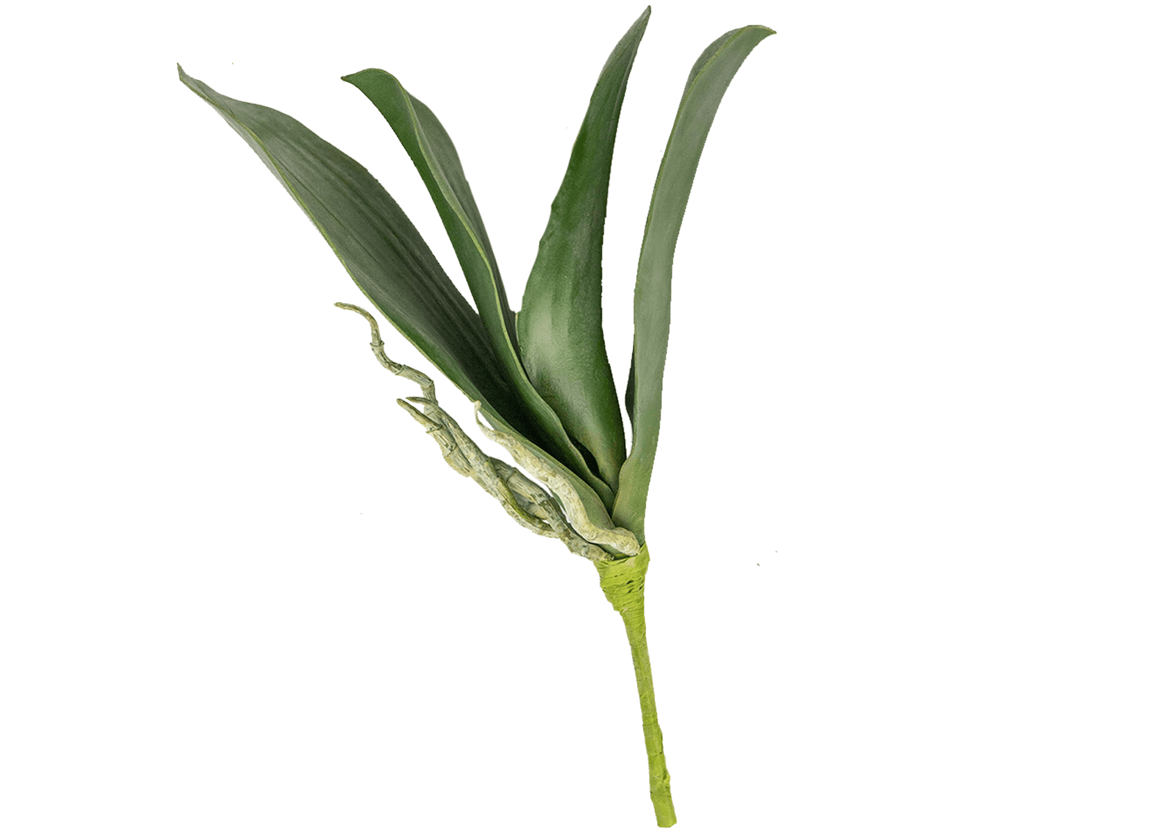 12" Artificial Phalaenopsis Leaf Plant Pick