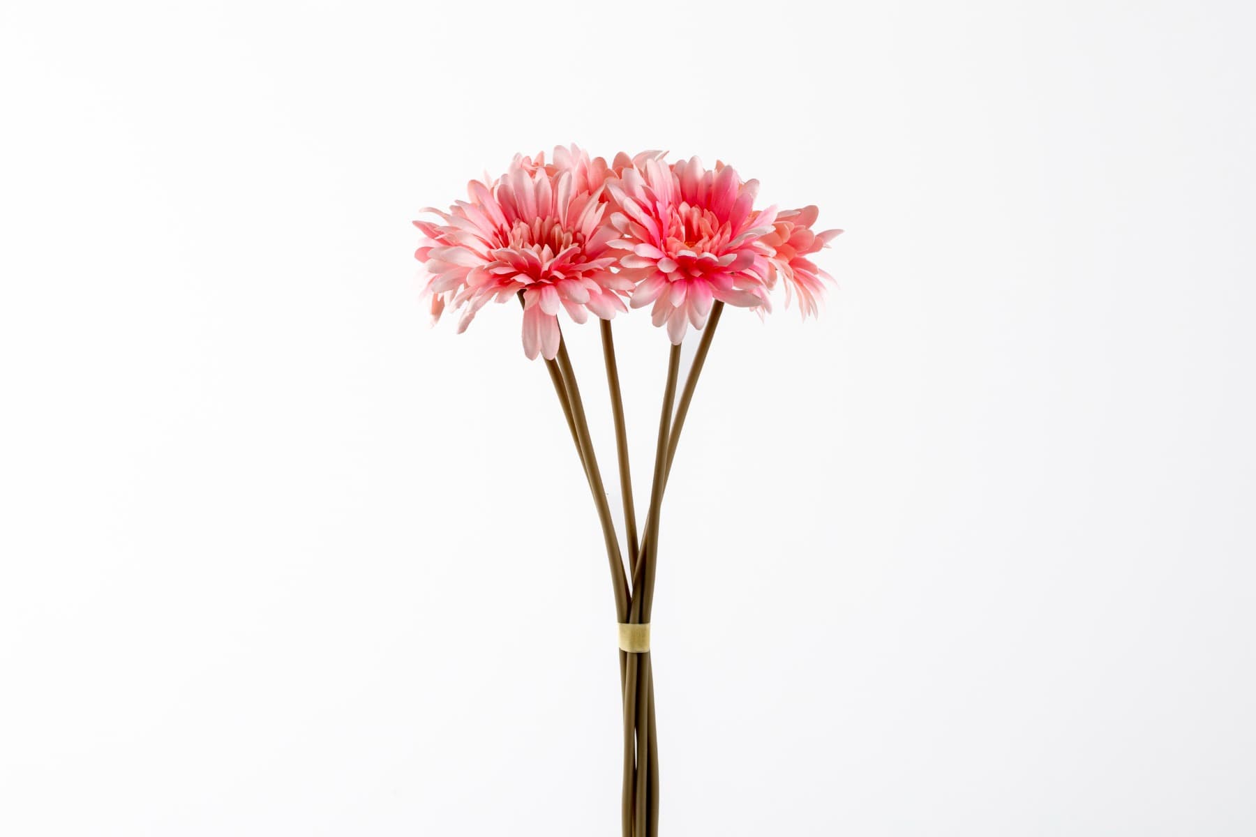 16" Pink Gerber Bundle