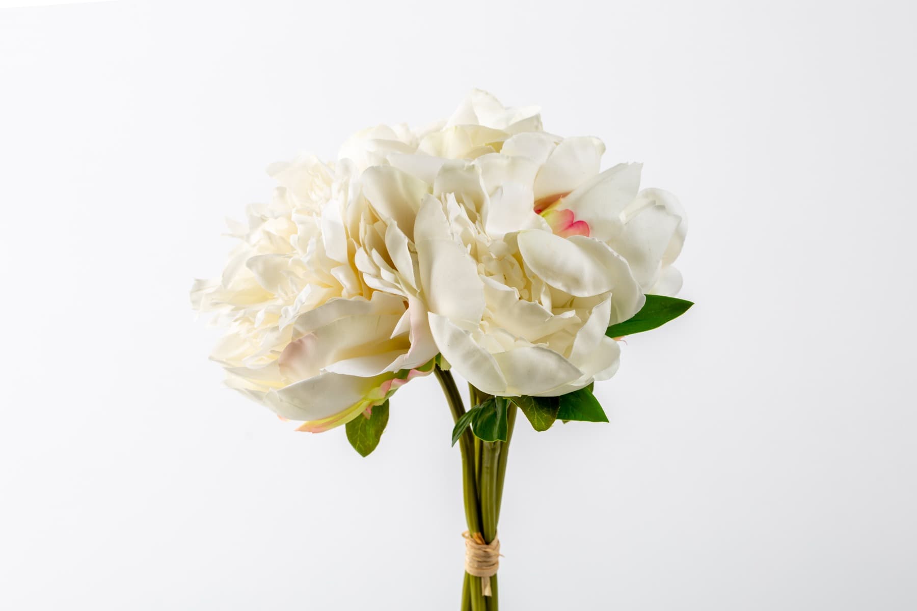 10" Cream Peony Bundle (5)